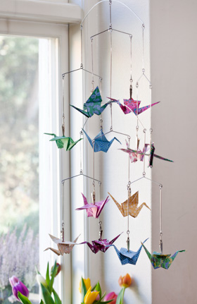 traner origami